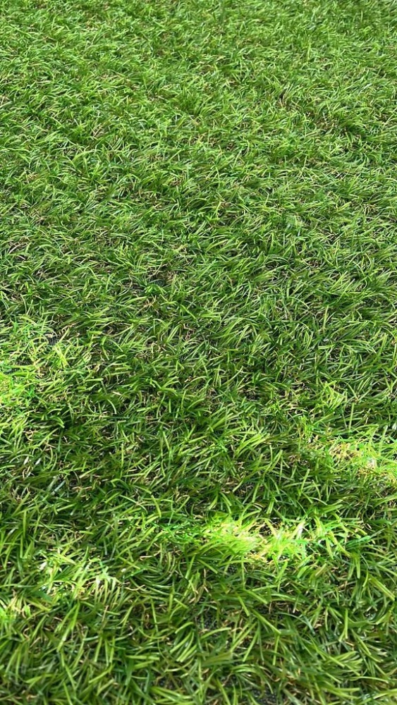 Коврик из искусственной травы Grass Mix 30 (2м)