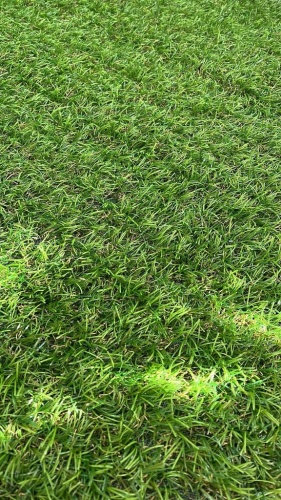 Коврик из искусственной травы Grass Mix 30 (2м)